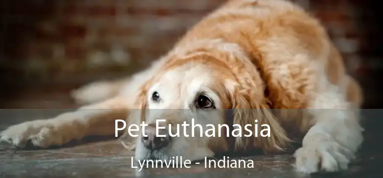 Pet Euthanasia Lynnville - Indiana