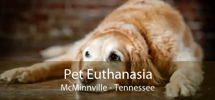 Pet Euthanasia McMinnville - Tennessee