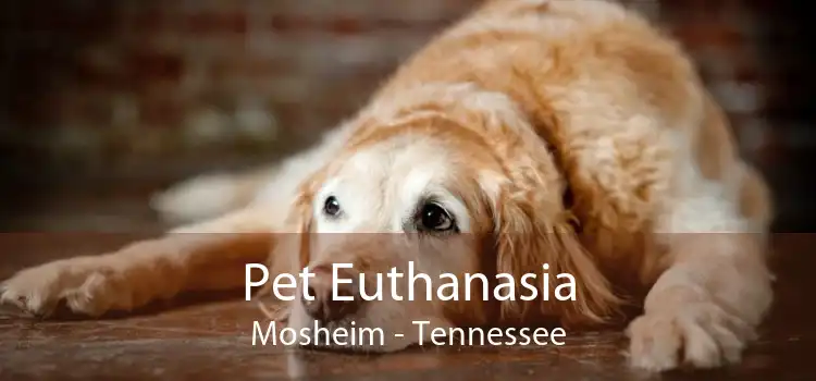 Pet Euthanasia Mosheim - Tennessee