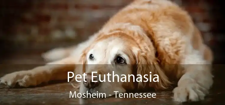 Pet Euthanasia Mosheim - Tennessee