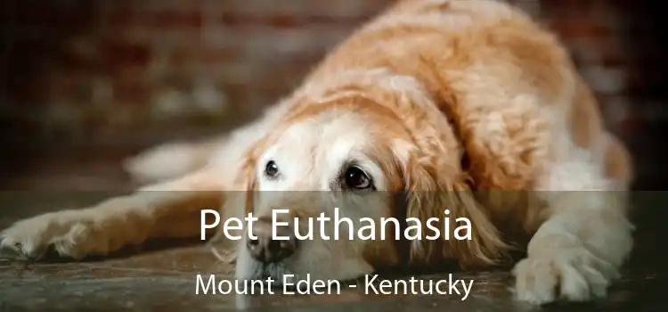 Pet Euthanasia Mount Eden - Kentucky