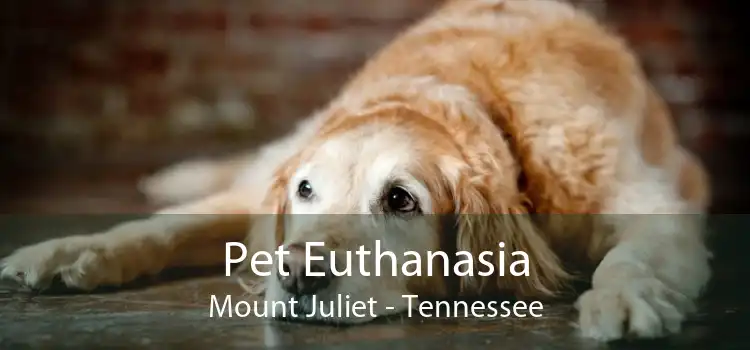 Pet Euthanasia Mount Juliet - Tennessee