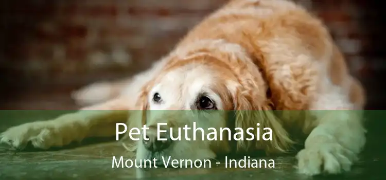 Pet Euthanasia Mount Vernon - Indiana