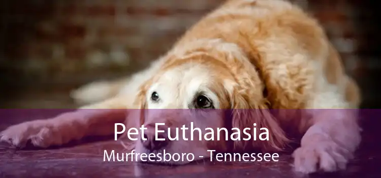 Pet Euthanasia Murfreesboro - Tennessee
