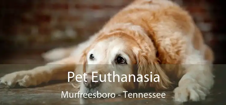 Pet Euthanasia Murfreesboro - Tennessee