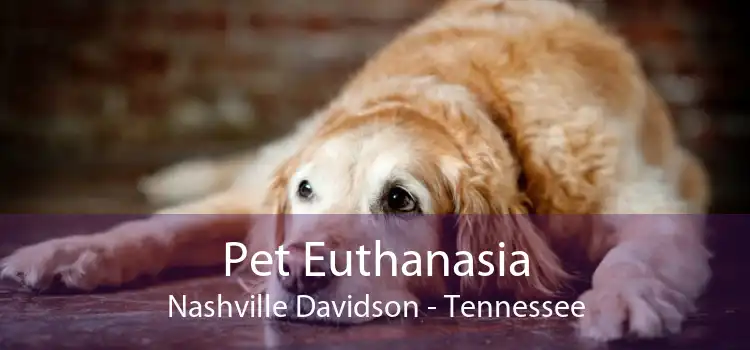Pet Euthanasia Nashville Davidson - Tennessee