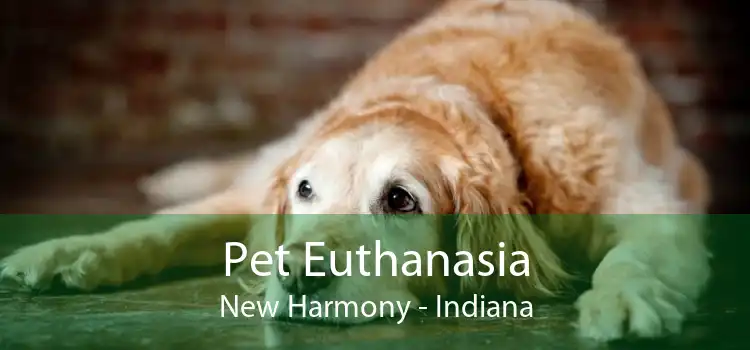 Pet Euthanasia New Harmony - Indiana