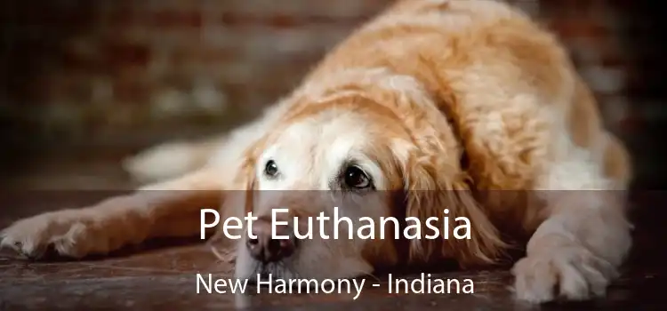 Pet Euthanasia New Harmony - Indiana