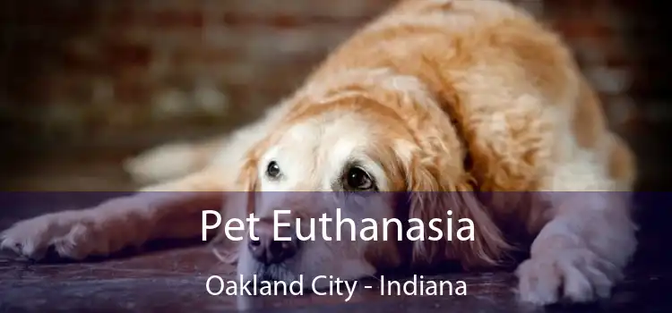 Pet Euthanasia Oakland City - Indiana