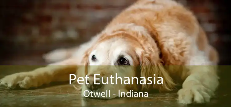 Pet Euthanasia Otwell - Indiana
