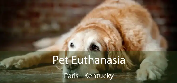 Pet Euthanasia Paris - Kentucky