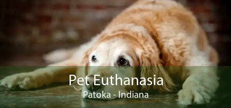 Pet Euthanasia Patoka - Indiana