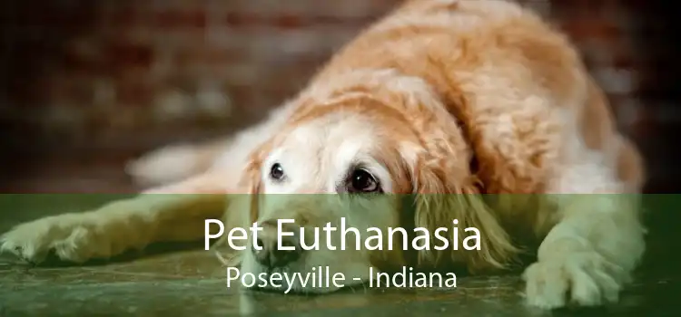 Pet Euthanasia Poseyville - Indiana