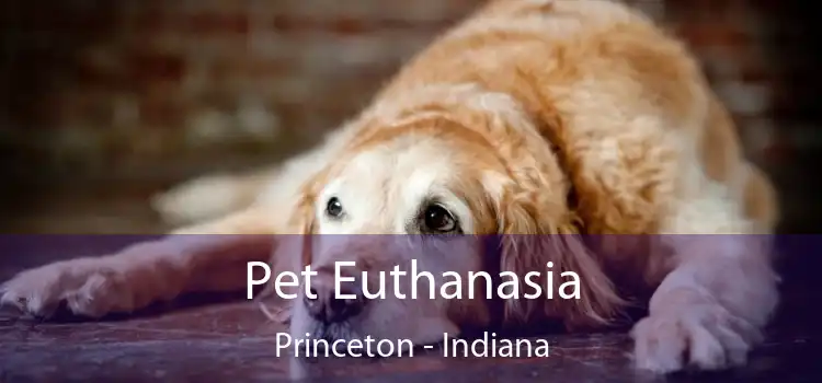 Pet Euthanasia Princeton - Indiana