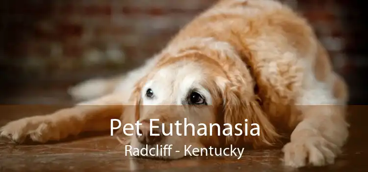Pet Euthanasia Radcliff - Kentucky
