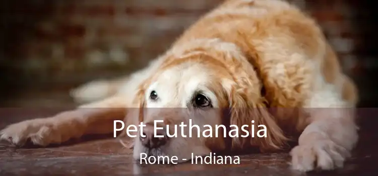 Pet Euthanasia Rome - Indiana