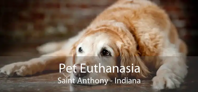 Pet Euthanasia Saint Anthony - Indiana
