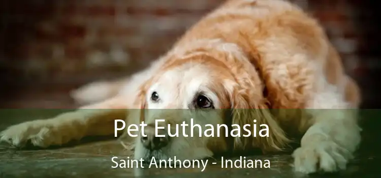 Pet Euthanasia Saint Anthony - Indiana