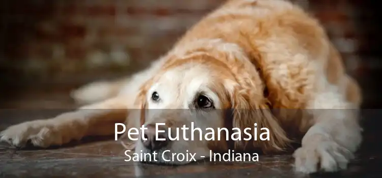 Pet Euthanasia Saint Croix - Indiana
