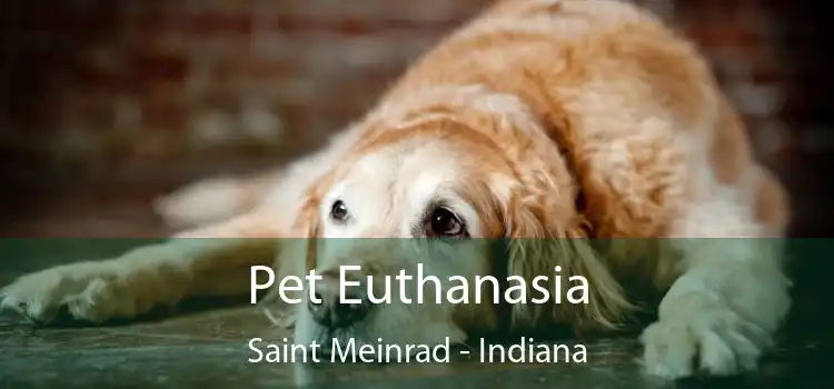 Pet Euthanasia Saint Meinrad - Indiana