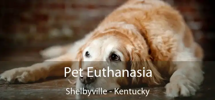 Pet Euthanasia Shelbyville - Kentucky