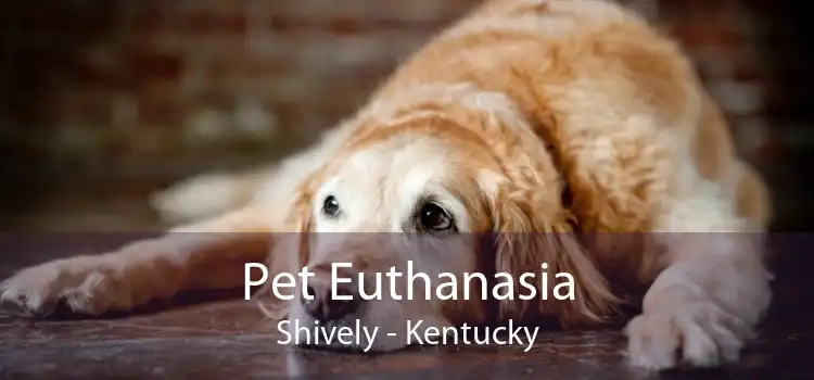 Pet Euthanasia Shively - Kentucky