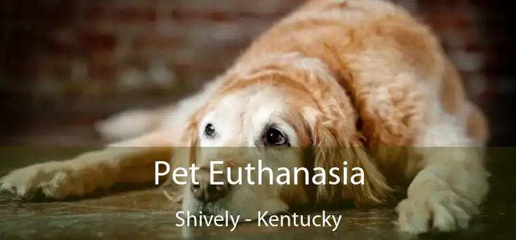 Pet Euthanasia Shively - Kentucky