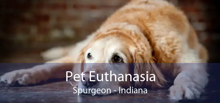 Pet Euthanasia Spurgeon - Indiana