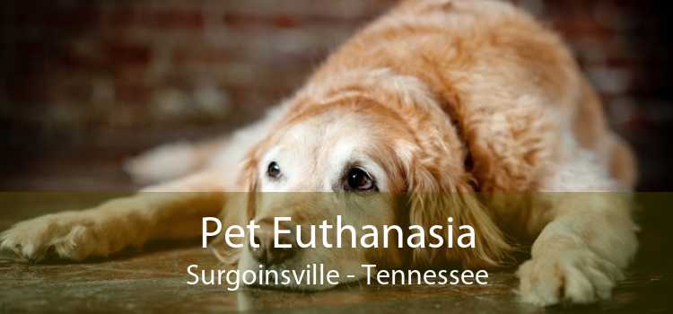 Pet Euthanasia Surgoinsville - Tennessee