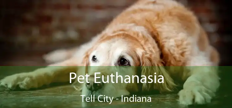 Pet Euthanasia Tell City - Indiana