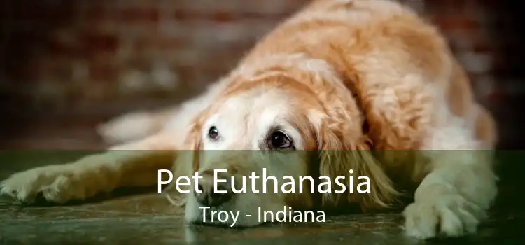 Pet Euthanasia Troy - Indiana