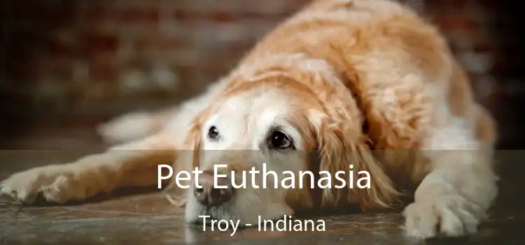 Pet Euthanasia Troy - Indiana