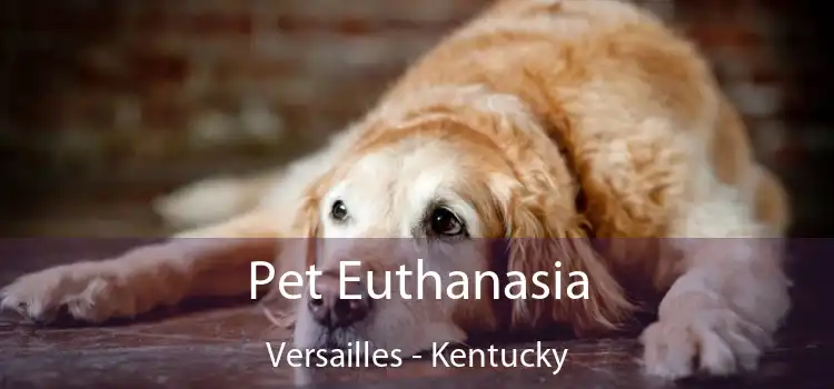 Pet Euthanasia Versailles - Kentucky