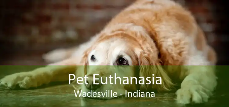 Pet Euthanasia Wadesville - Indiana