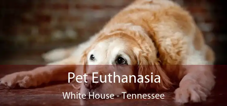 Pet Euthanasia White House - Tennessee