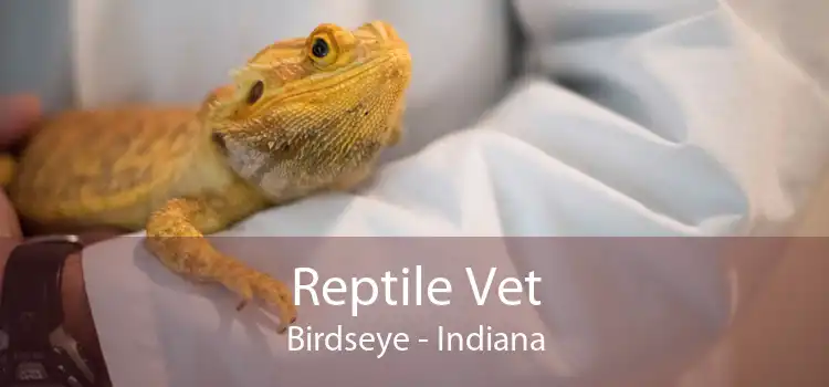 Reptile Vet Birdseye - Indiana
