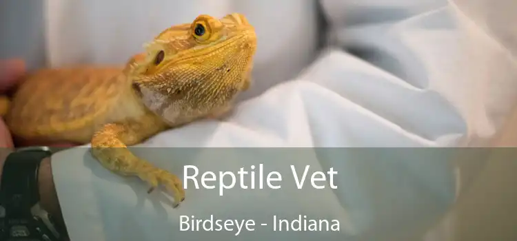 Reptile Vet Birdseye - Indiana