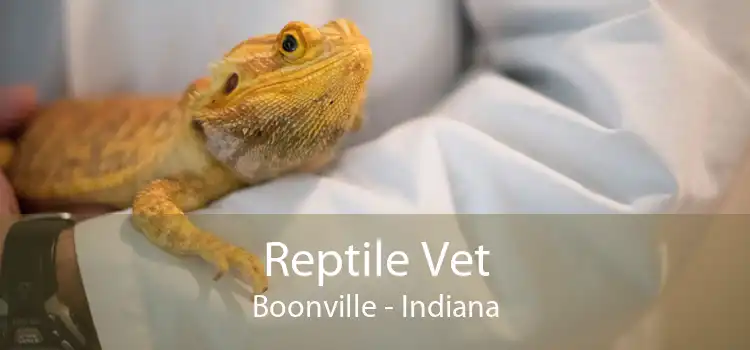 Reptile Vet Boonville - Indiana