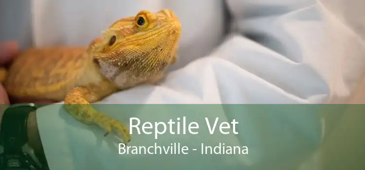 Reptile Vet Branchville - Indiana