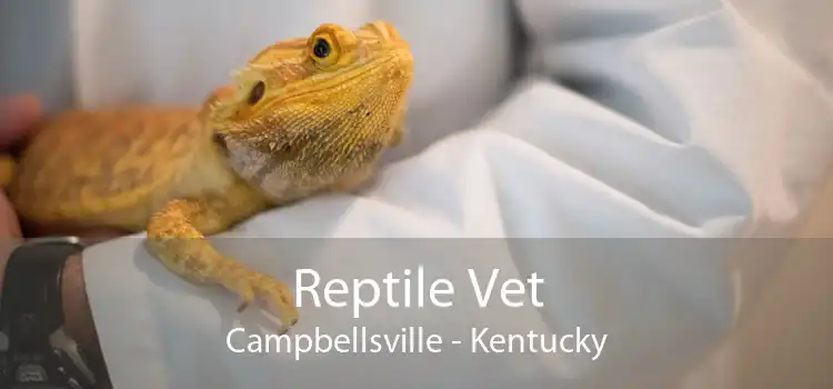 Reptile Vet Campbellsville - Kentucky