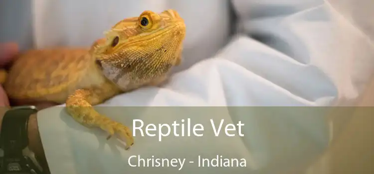 Reptile Vet Chrisney - Indiana