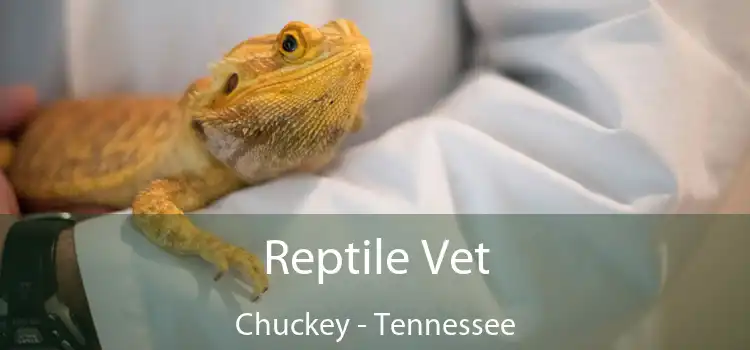 Reptile Vet Chuckey - Tennessee