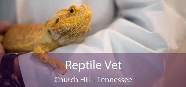 Reptile Vet Church Hill - Tennessee