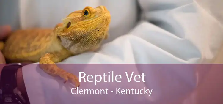 Reptile Vet Clermont - Kentucky