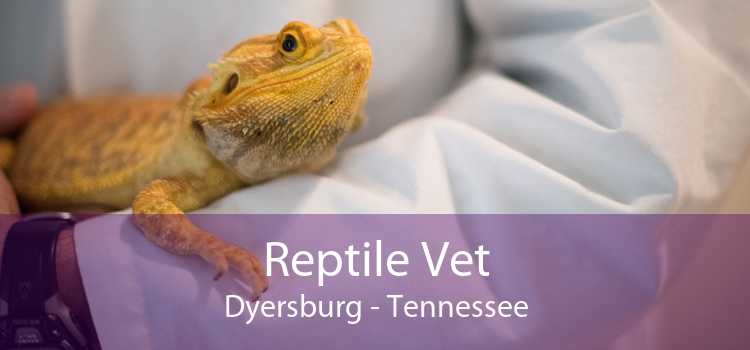 Reptile Vet Dyersburg - Tennessee