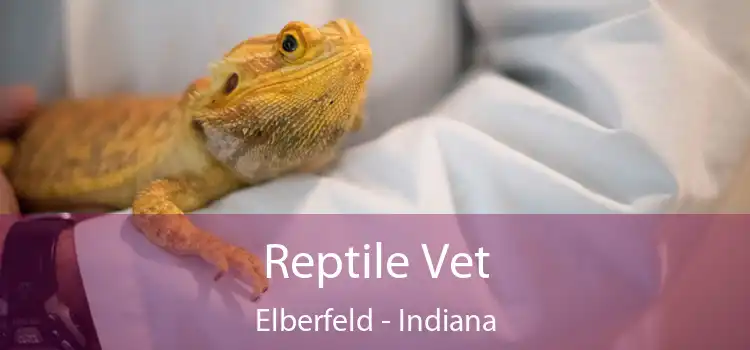 Reptile Vet Elberfeld - Indiana