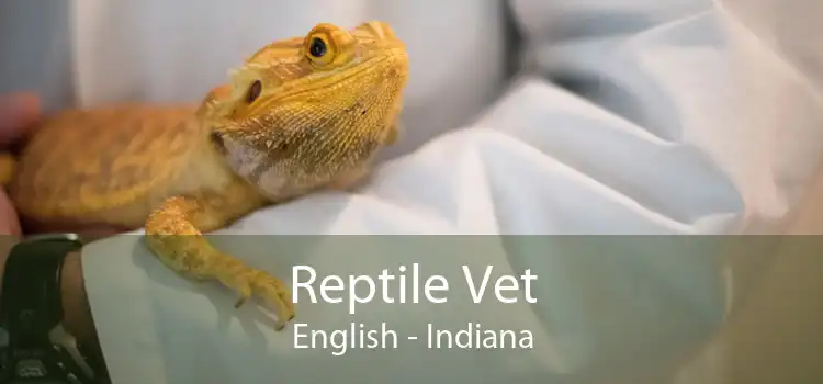 Reptile Vet English - Indiana
