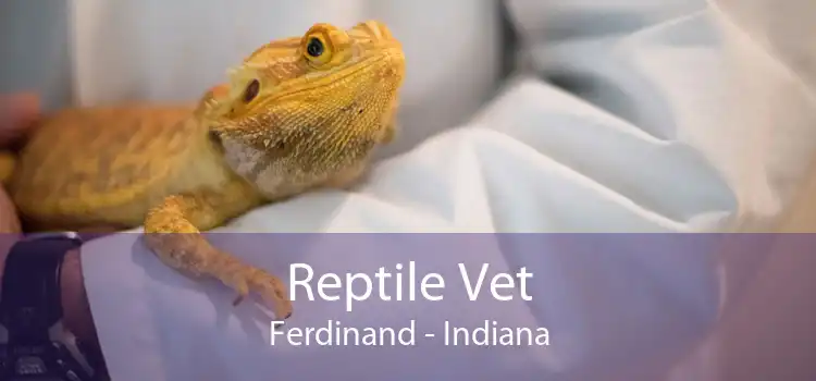 Reptile Vet Ferdinand - Indiana