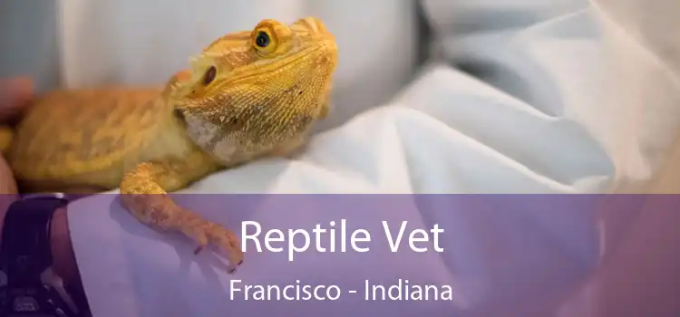 Reptile Vet Francisco - Indiana