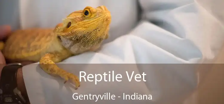 Reptile Vet Gentryville - Indiana